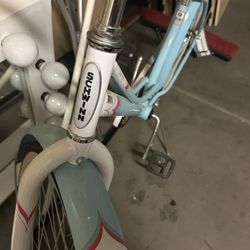 Schwinn Bike Adult 
