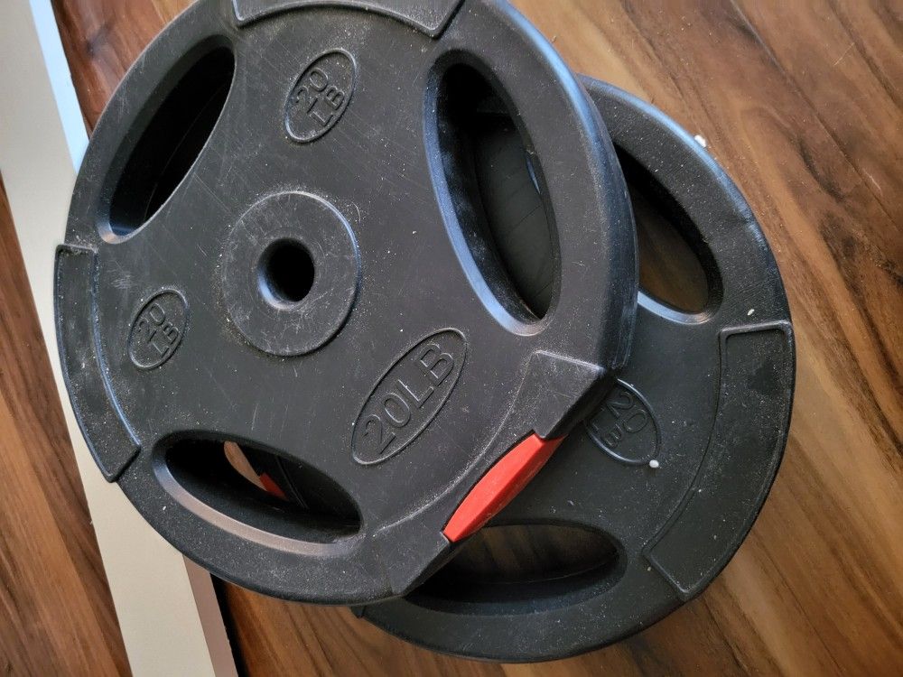 2- 25 Pound Weights Bumper Plates