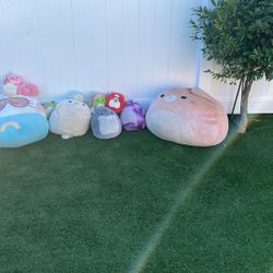 Squishmallows Plushies 