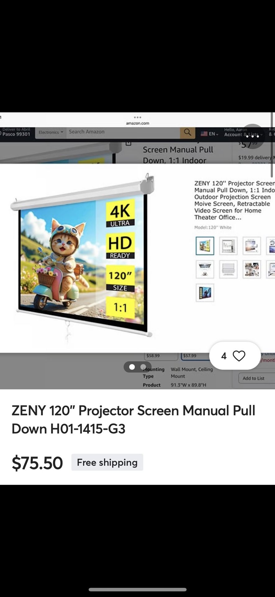 ZENY 120" Projector Screer Manual Pull