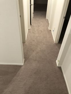 Carpet$$