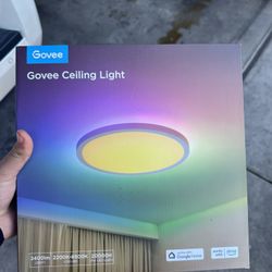 Govee Lights 