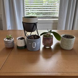 Plant Holders