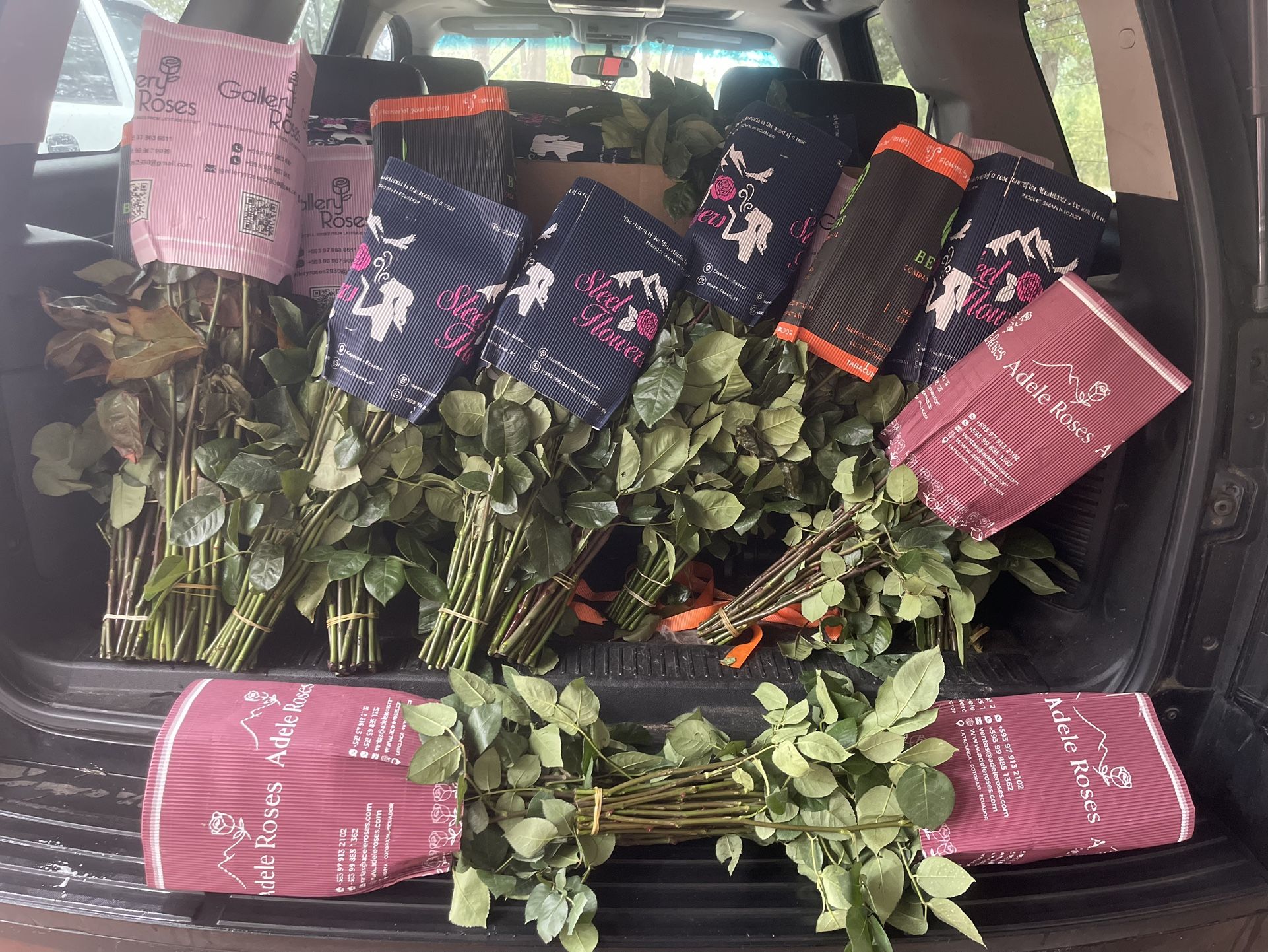 Roses Wholesale