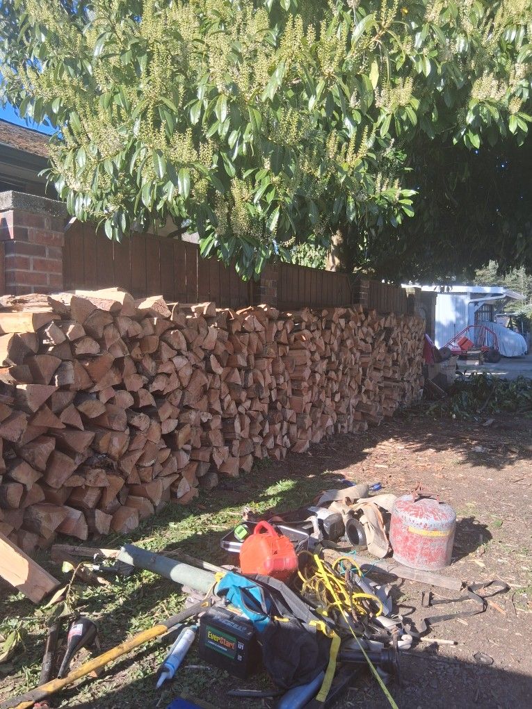 Firewood