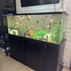 Fish Tank Aquarium 100 Gallon 