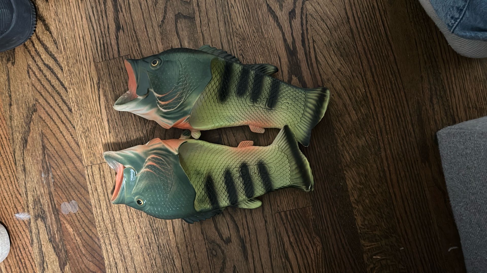 Coddies Bass Slides