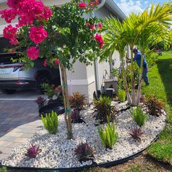 Barbara Karst Bougainvillea Trellis Flower