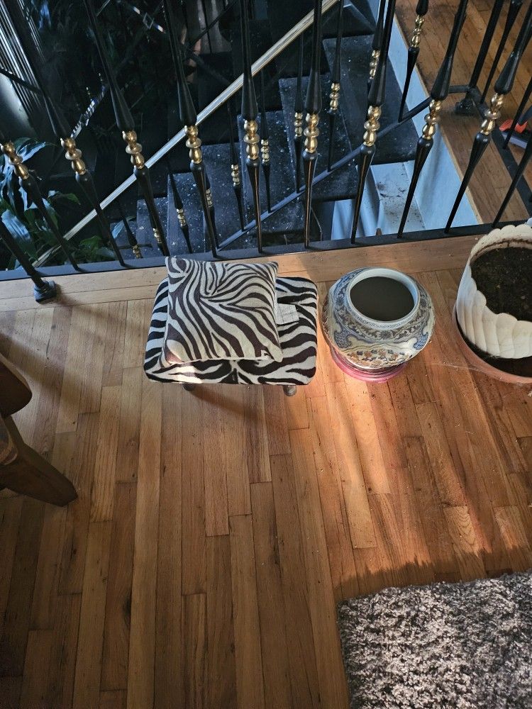Zebra Print Chair And Ottoman