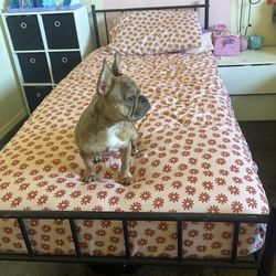 Twin Bed Frame 