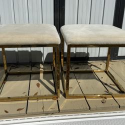 Set of 2 Chairs