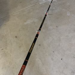 Fishfeen Fishing Rods 