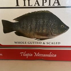 Whole Tilapia Gutted & Scaled Tilapia Entera Limpia Y Sin Escamas