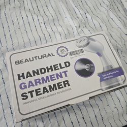 Handheld Steamer