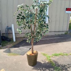 Awesome New Designer 6ft Artificial Silk Tree