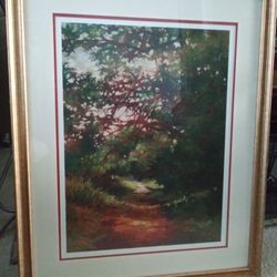 Framed Wall picture! 