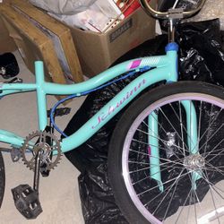 Schwinn Girls Bike