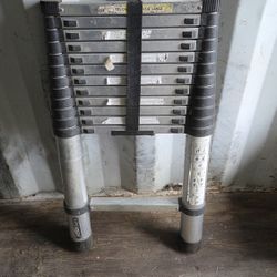 12' Telescope Ladder