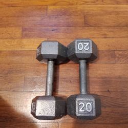 Hex Dumbbells Sets 20 Pounds 