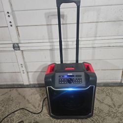 ION Pathfinder 280 All-Weather Speaker with Premium Wide-Angle Sound