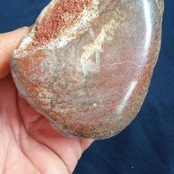 Rare - Dinosaur Bone Specimen 