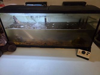 55 Gallon Tank