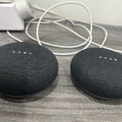 Google Nest Smart Speaker (2)