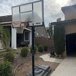 Lifetime Shatterproof Basketball Hoop - Adjustable to 10 Feet - Great Condition! PICKUP  ONLY