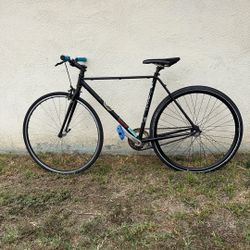 Trek Fixie