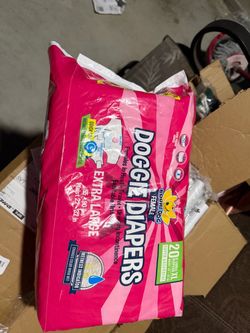 Pet dealers size XL $10
