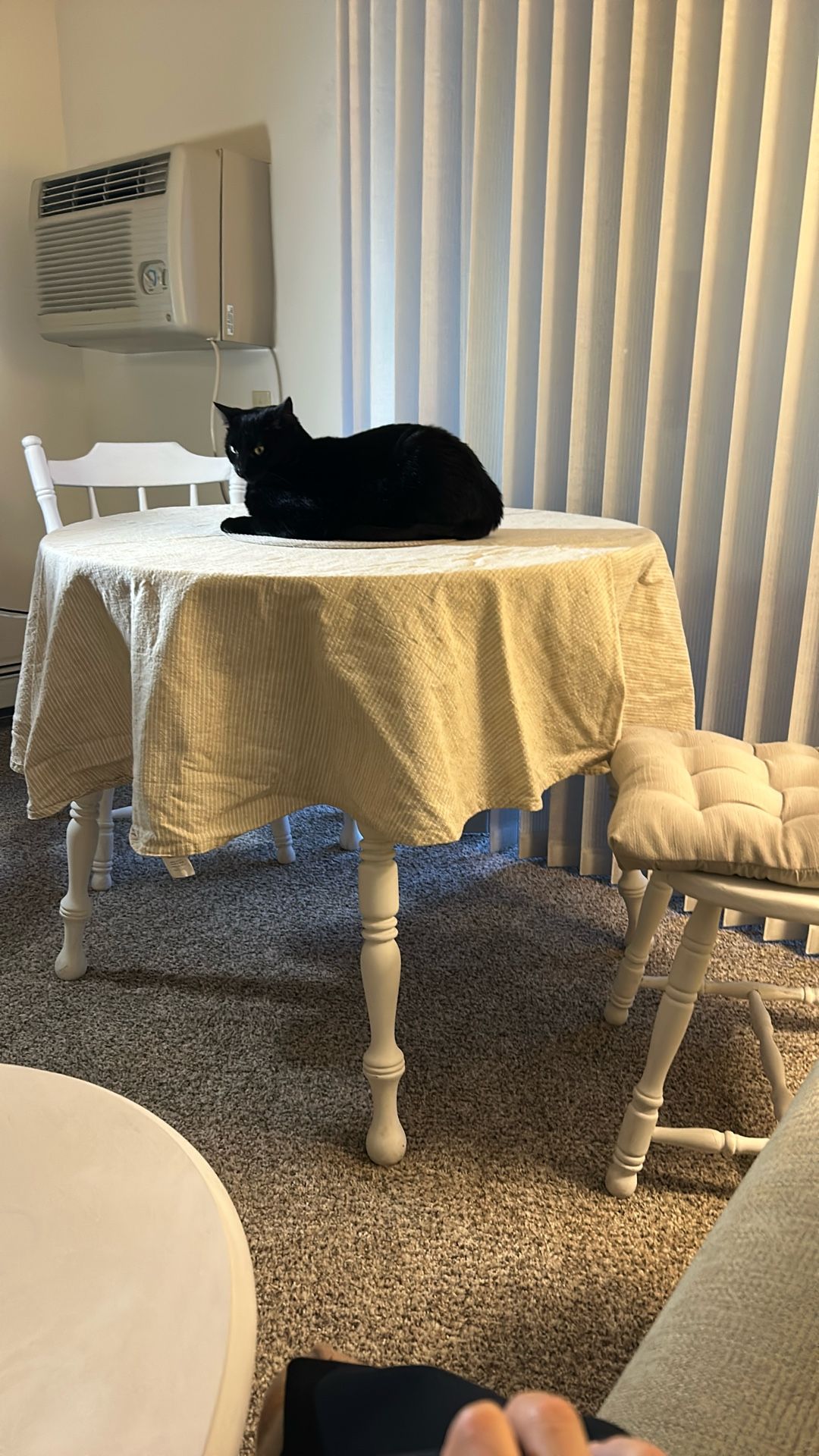 Round Dining Table with 2 Wooden Chairs – Farmhouse Style