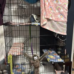 Big Cage