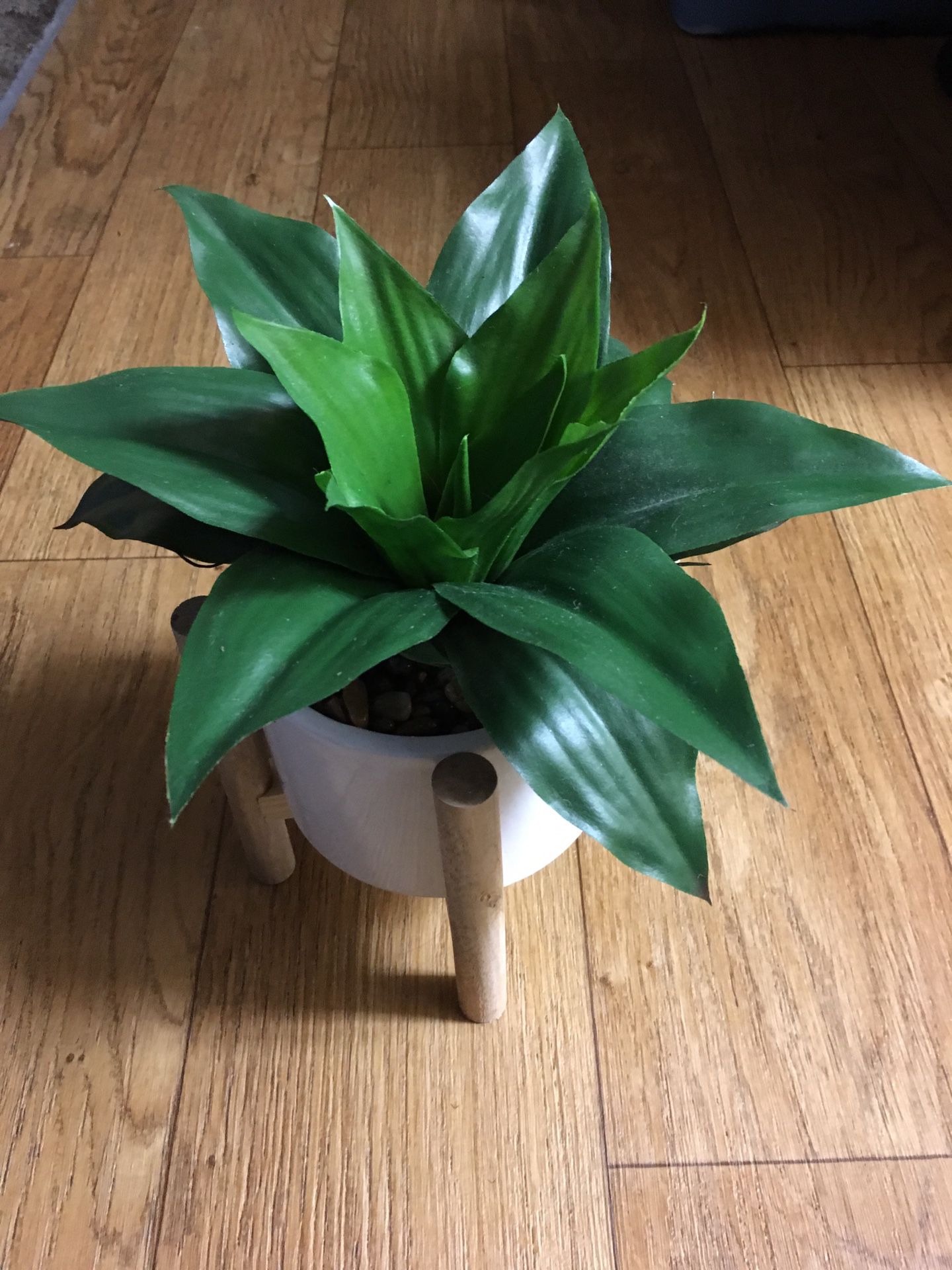 Fake Plant With Stand