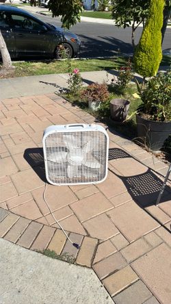 Fan