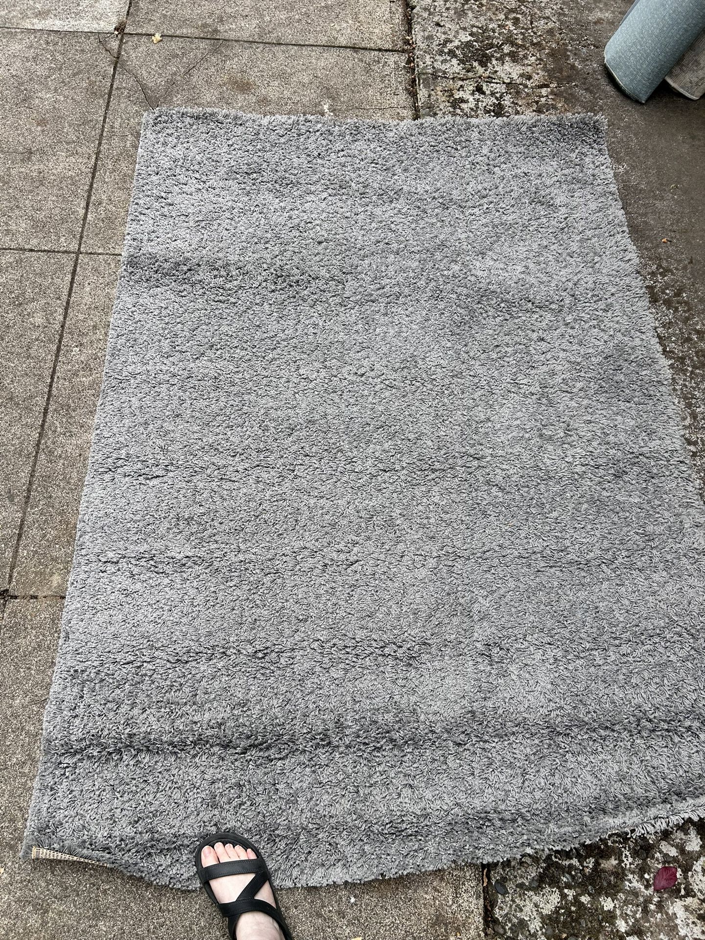 4’4” X 6’5” grey gray area rug carpet Carpeting