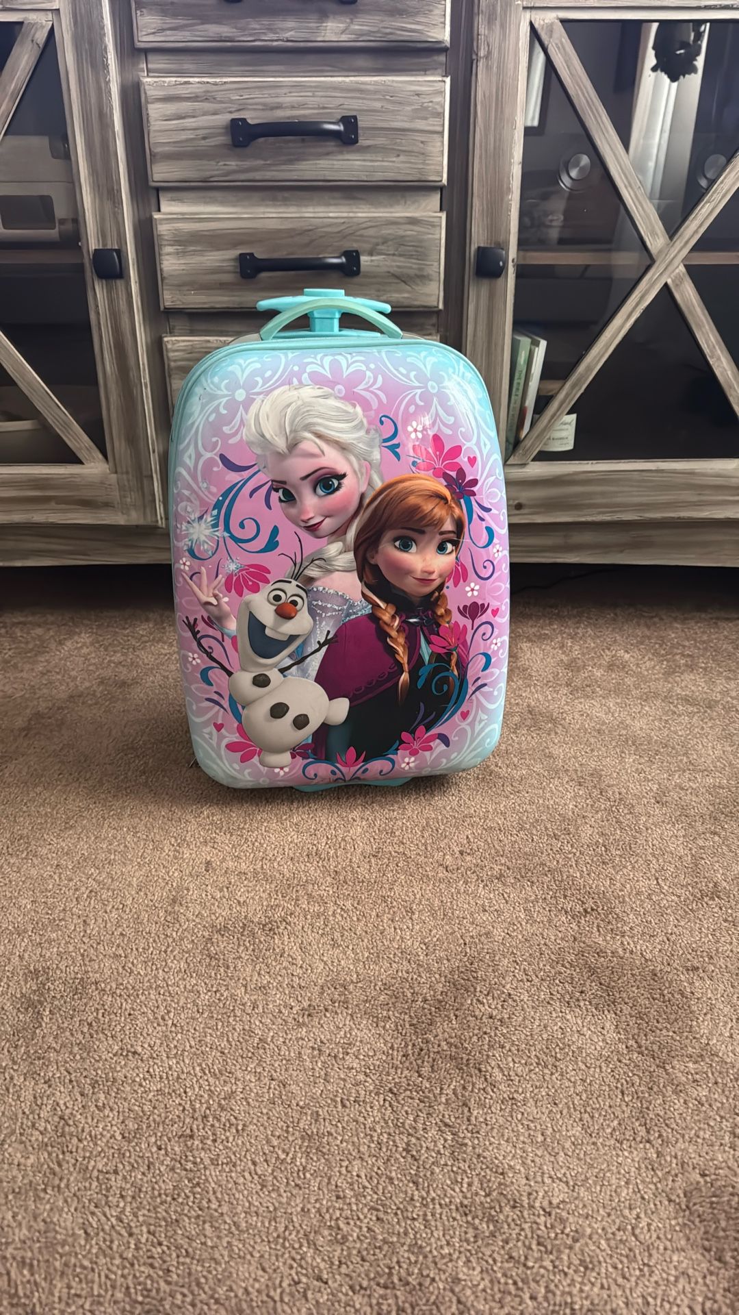 Frozen Luggage