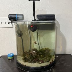 Small Fish Tank Full Set G