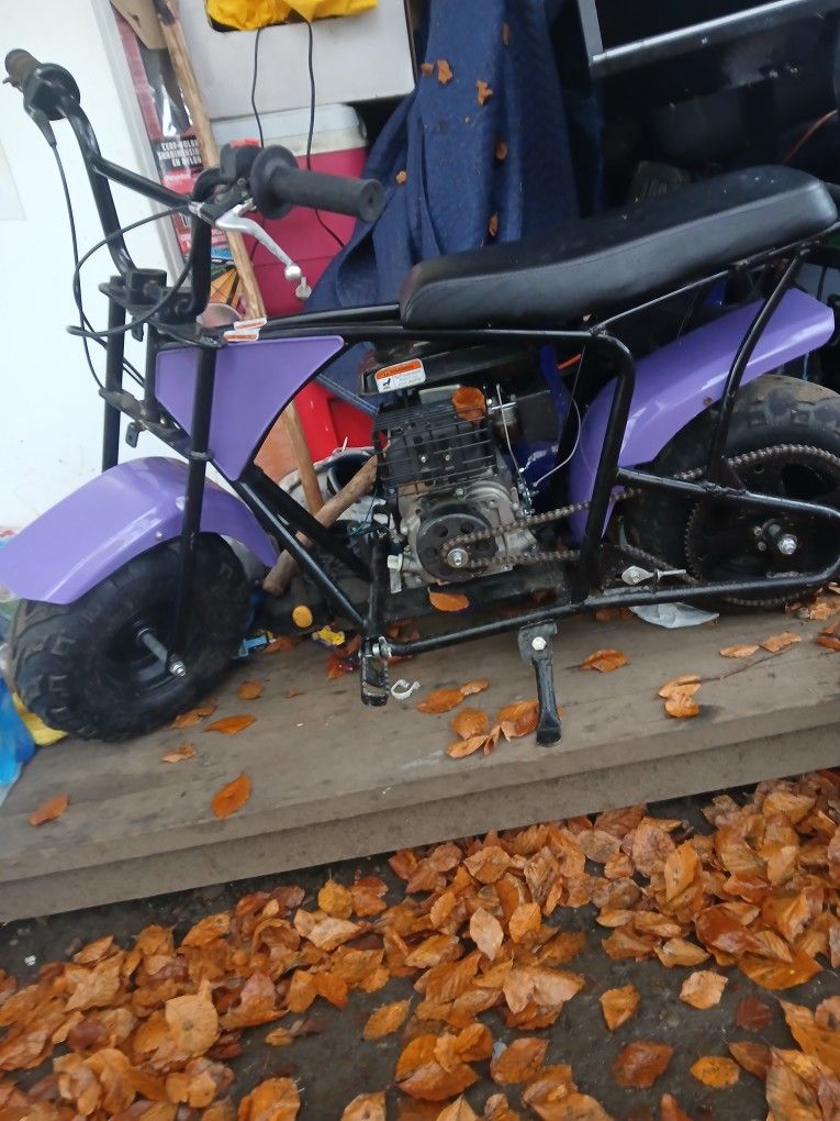 2024 Rt 100 Cc Minibike
