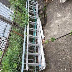 Green Metal 30' Ladder