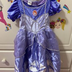 Disney Princess Dress