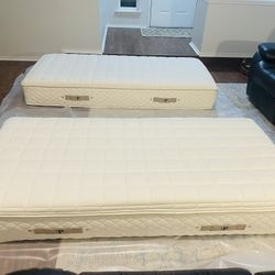 Botanical Bliss Organic Latex 9in. Mattresses Split King (Two Twin XL’s) $500