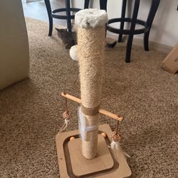 Cat Scratch Post