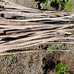 Bamboo PLANT SUPPORT 