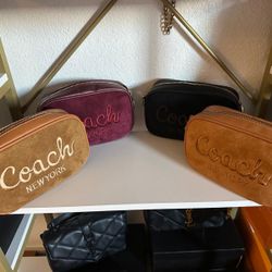 Bag Coach 