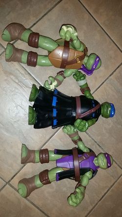 Turtles