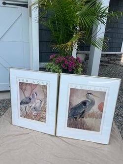 2 large coastal Egret framed wall pictures