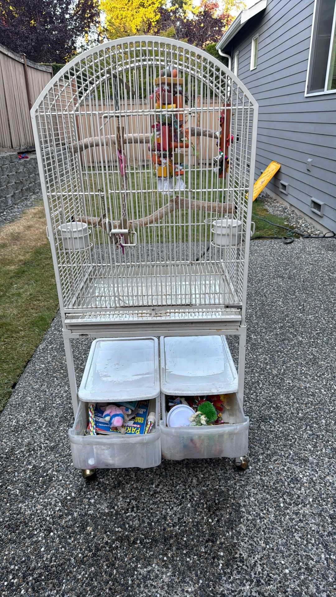 Bird Cage