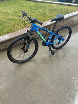 Schwinn Thrasher Mountain Bike – For Sale