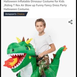 Riding Blow Up Dinosaur 