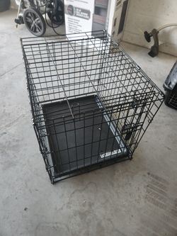 Medium Size Kennel